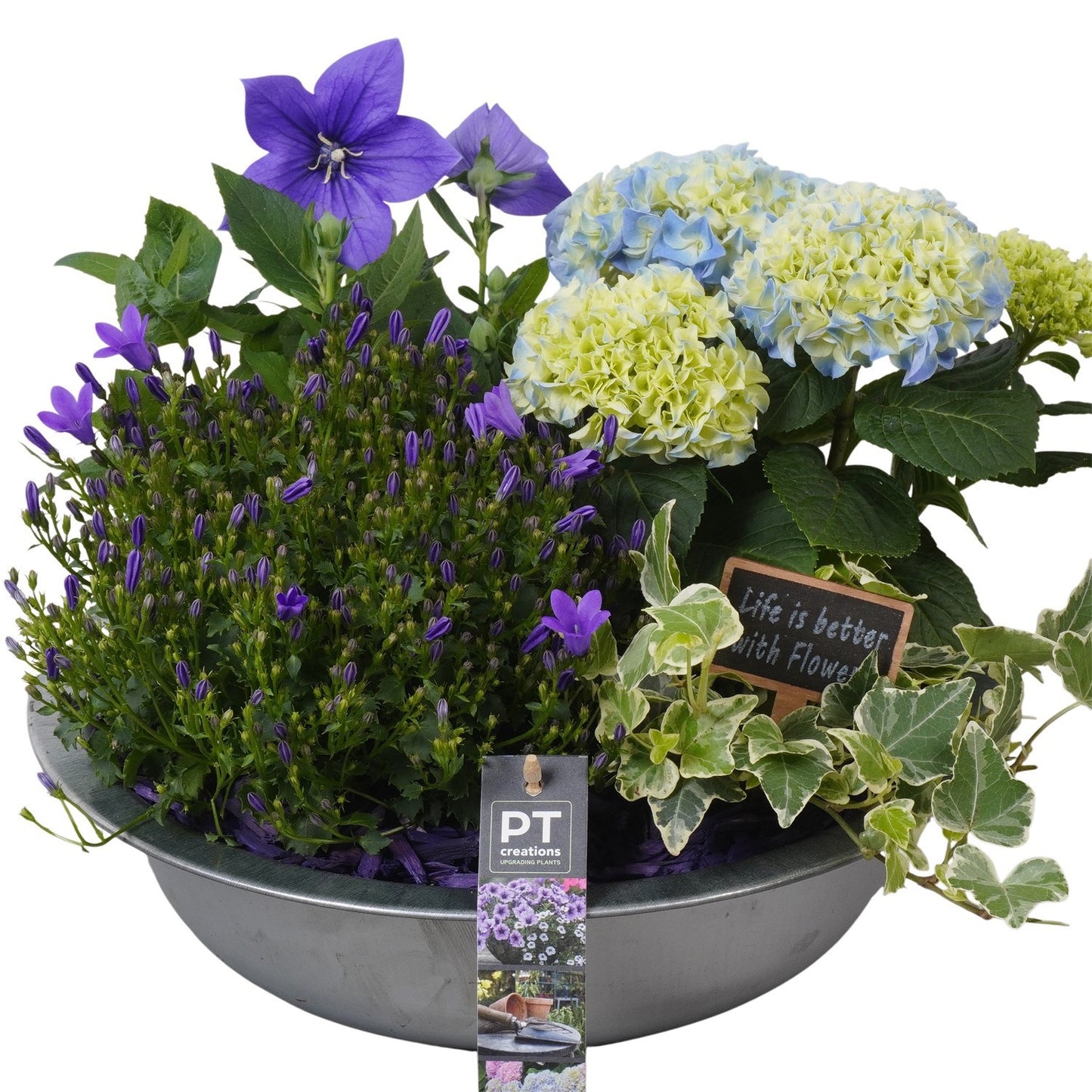 arr. PM196 29cm 33cm Pot