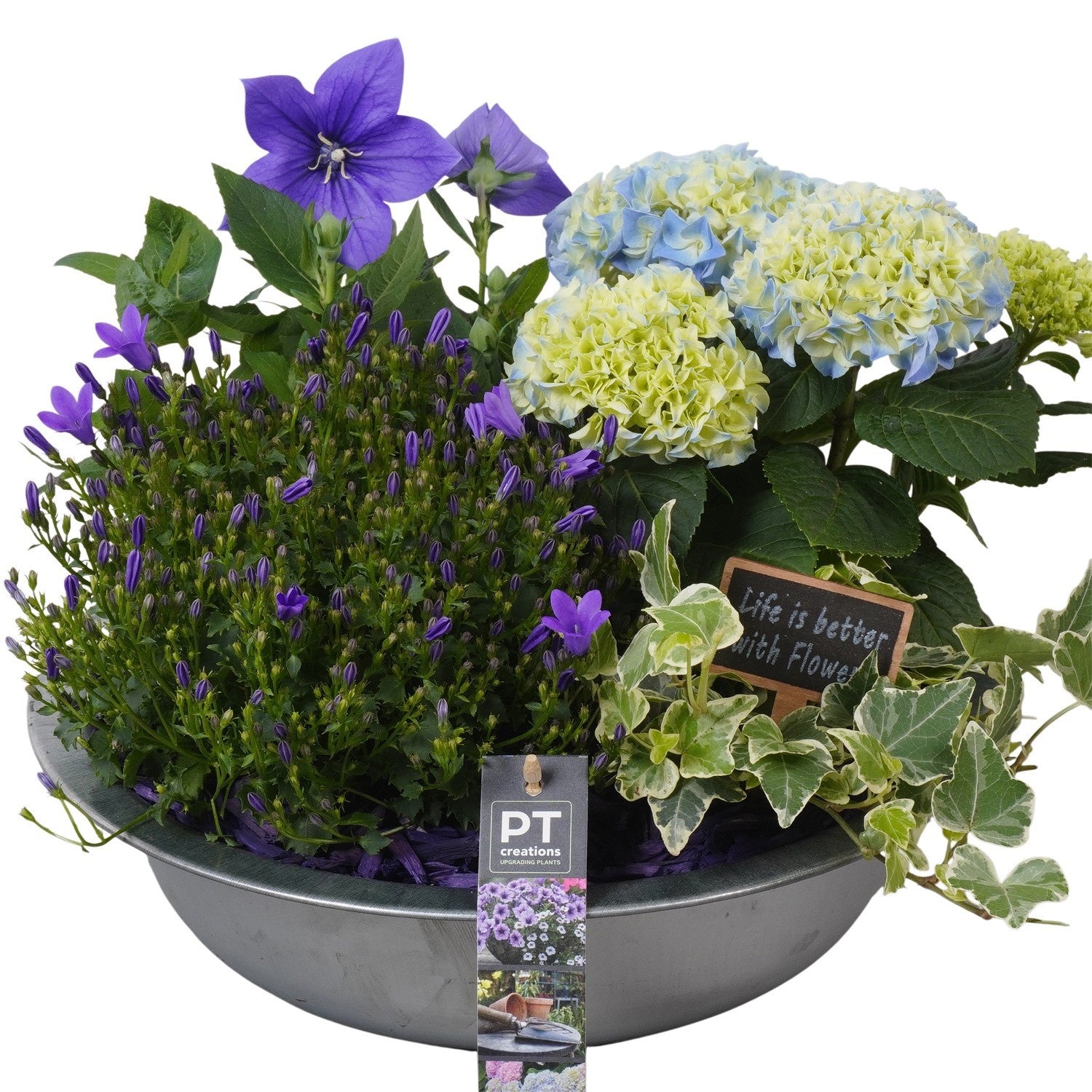arr. PM196 29cm 33cm Pot