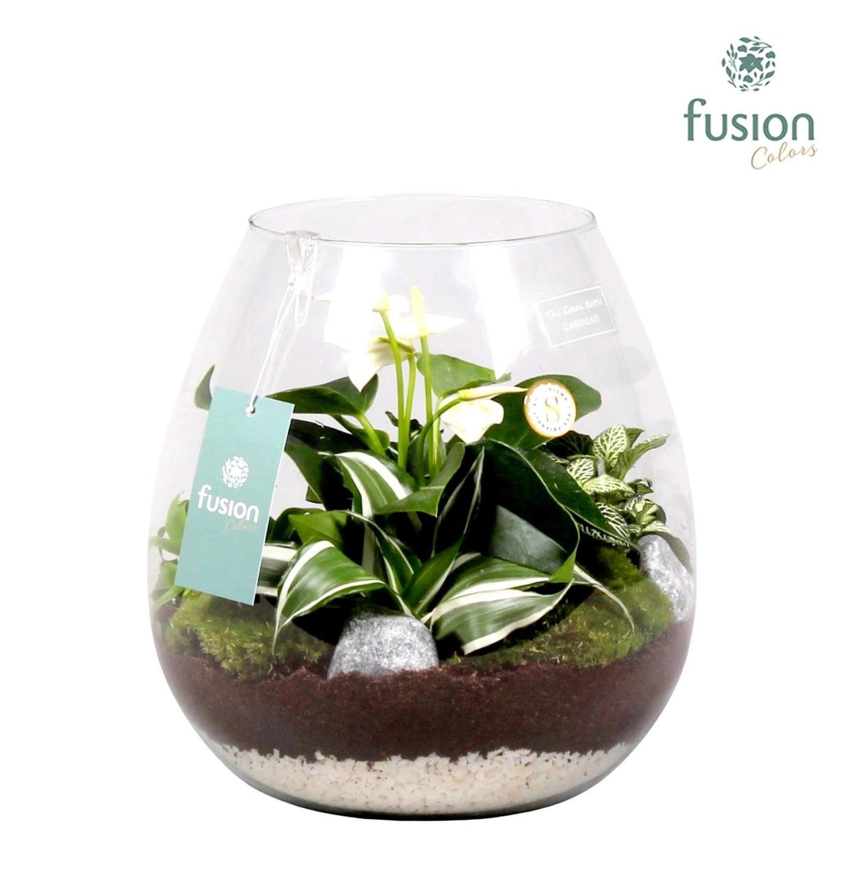Fusioncolors BV Green Bottle Abby Large met Arrrangement 5pp Pack of 2