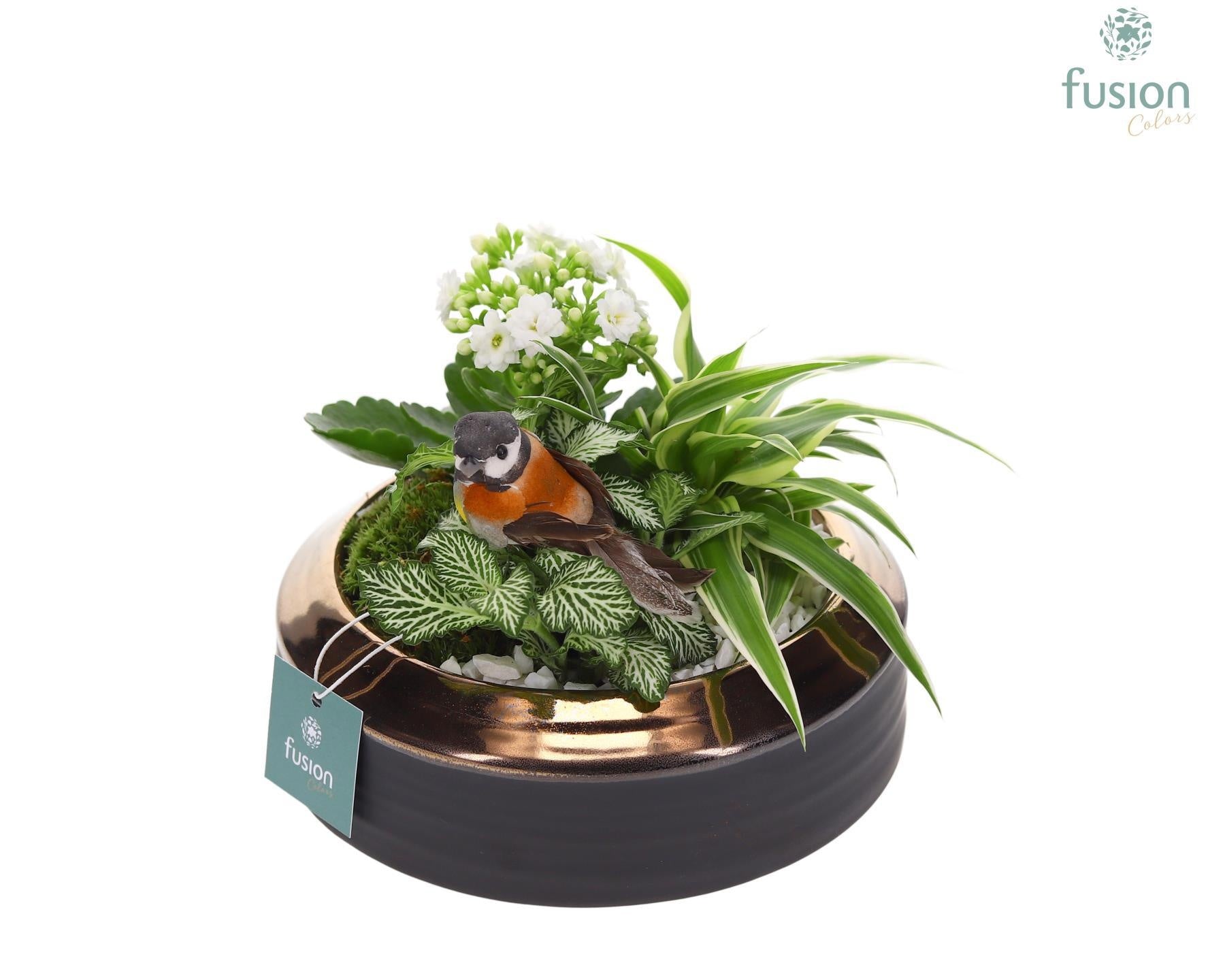 Schaal keramiek brons Medium met Arrangement 20cm 19cm Pot