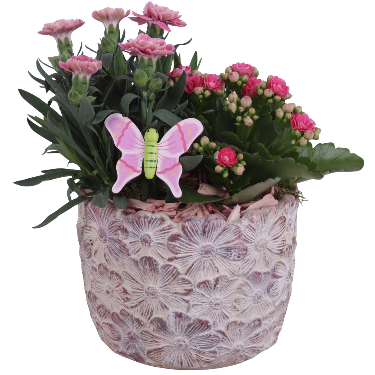Outdoor arrangement 25cm 14cm Pot