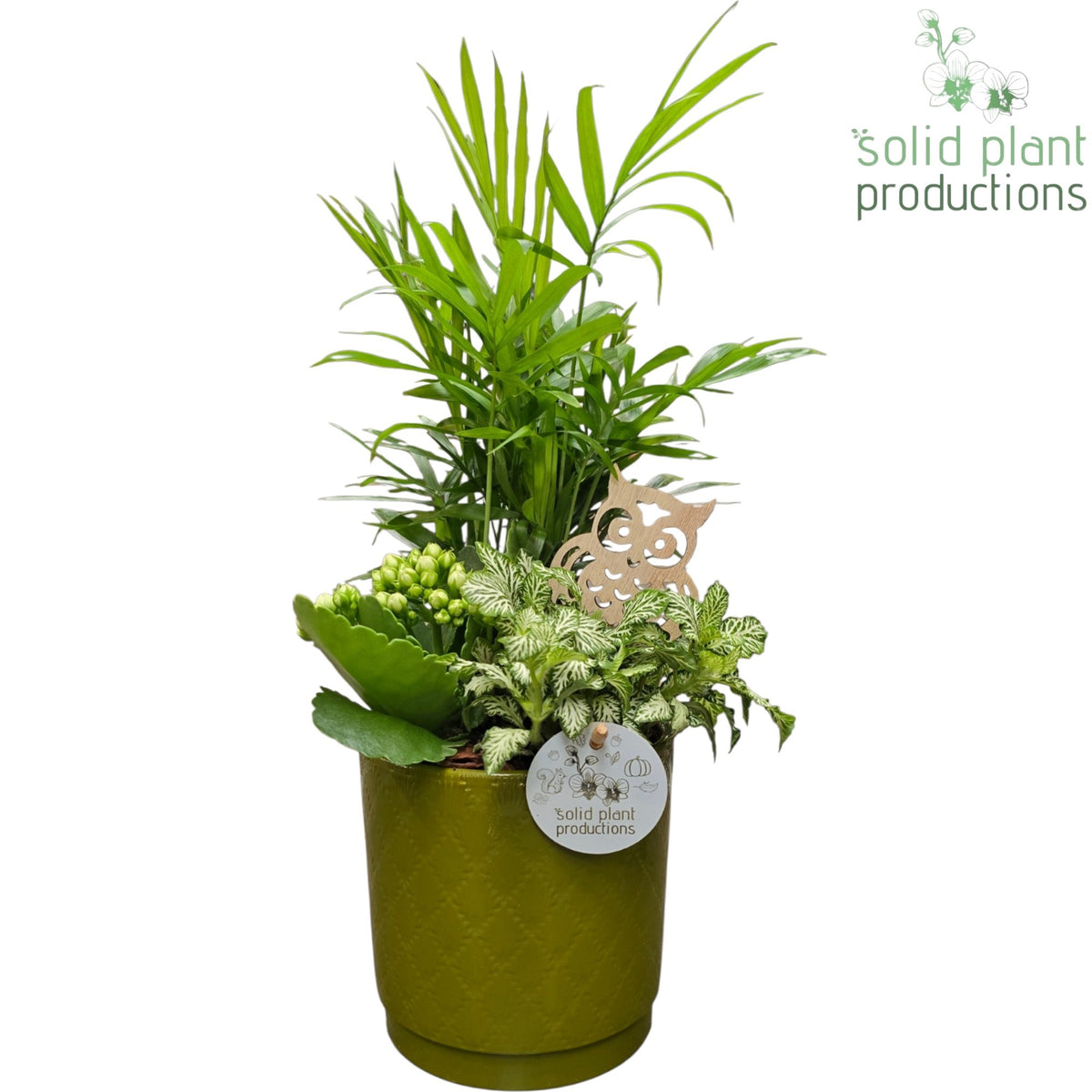 CH001 Amy Green White 38cm 13cm Pot