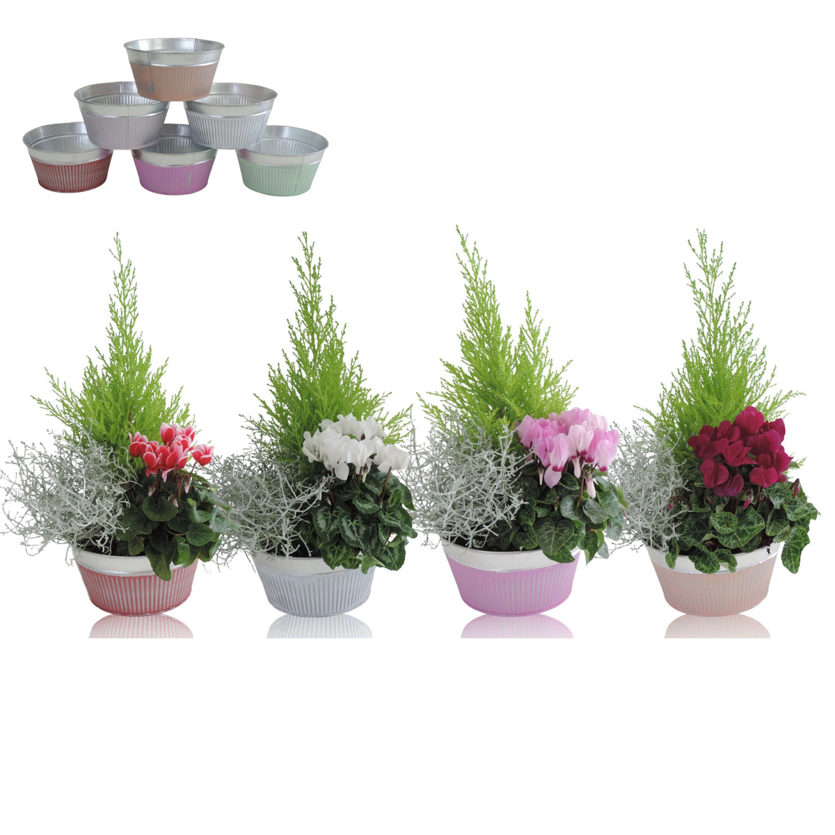Outdoor arrangement 18cm Pot