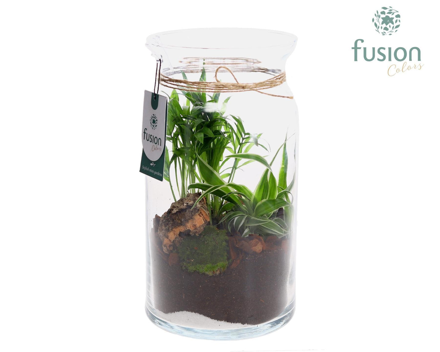 Fusioncolors BV Glas Melkbus met arrangement 2pp Pack of 5