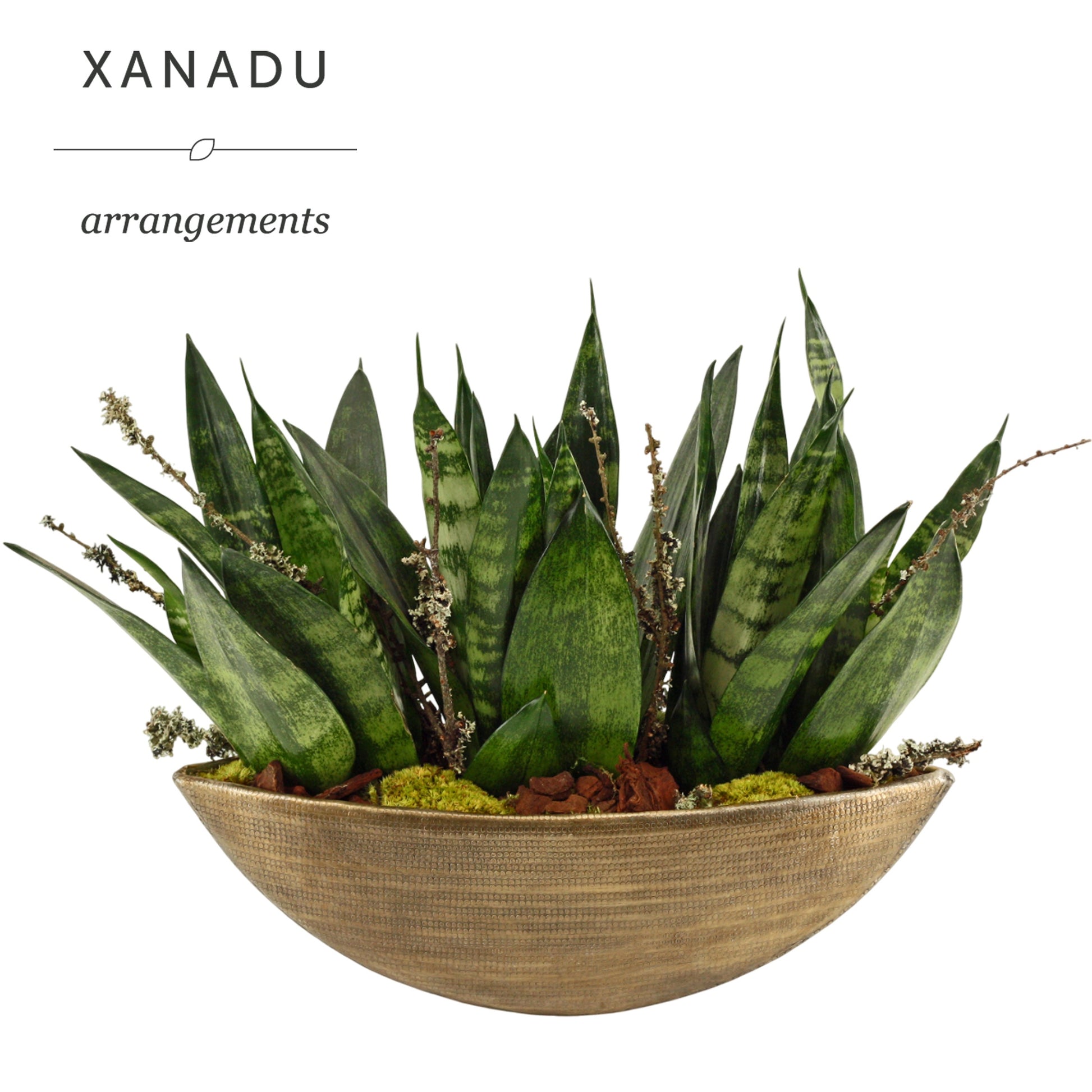 Xanadu Nashville 14cm Pot