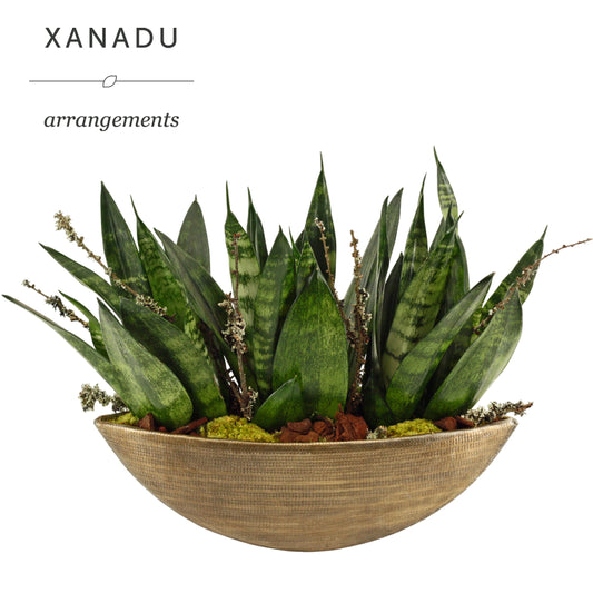 Xanadu Nashville 35cm 14cm Pot
