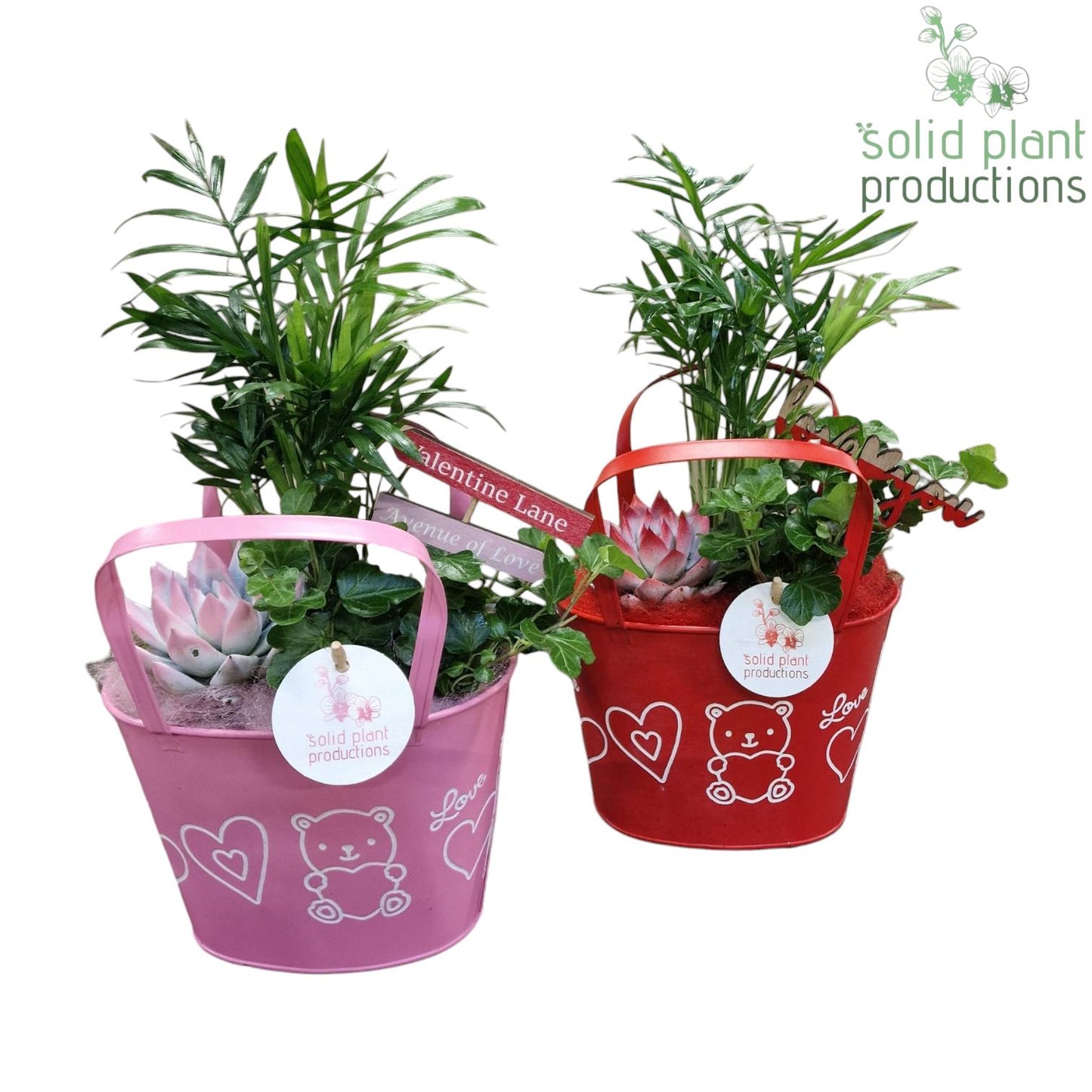 ZVC002 Sandra Red/Pink 38cm 19cm Pot