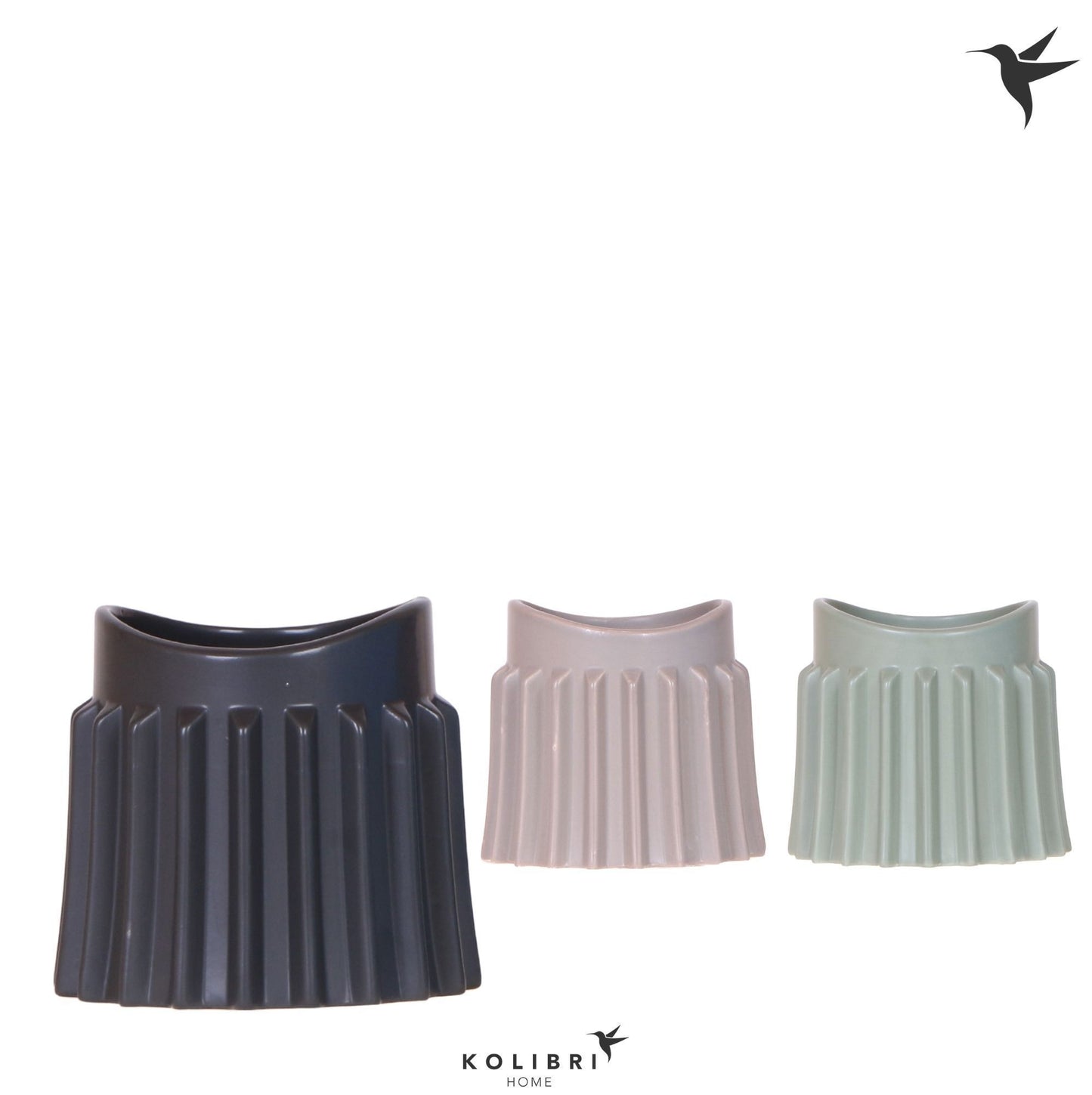 OK Plant Kolibri Home Raw pot mix Pack of 5