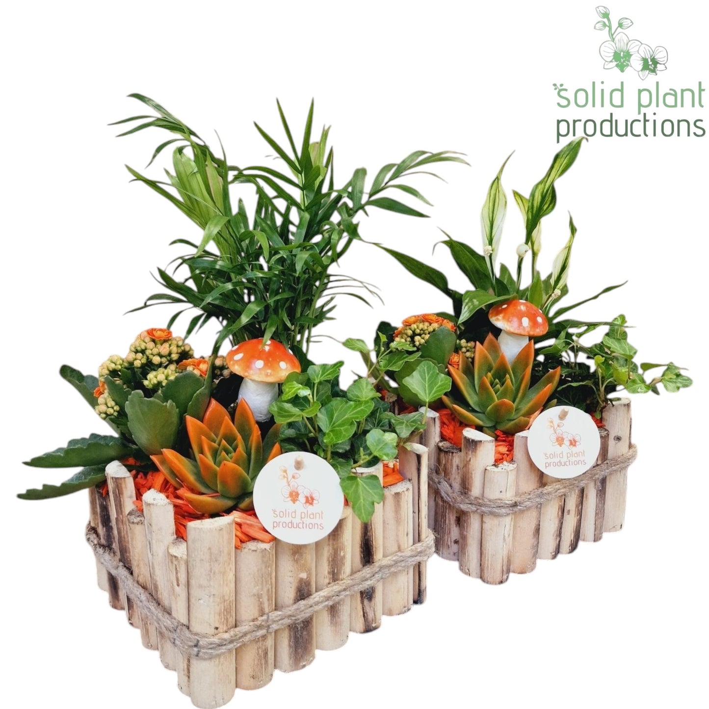 HSCE004 Verona Small Autumn Orange 35cm 18cm Pot