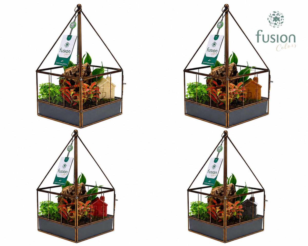 Geometrisch Glazen terrarium huis met arrangement 29cm 16cm Pot