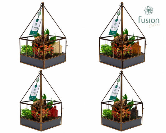Geometrisch Glazen terrarium huis met arrangement 29cm 16cm Pot