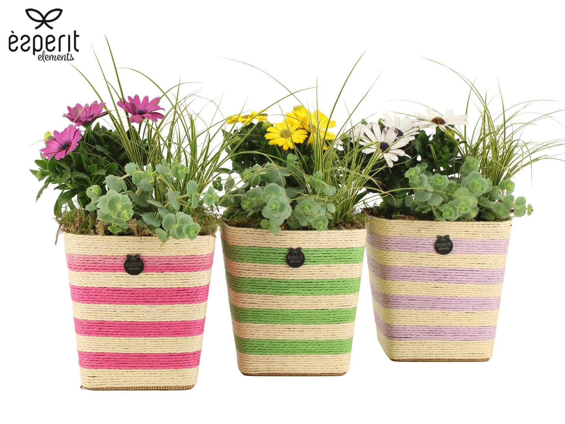 Outdoor arrangement 30cm 14cm Pot