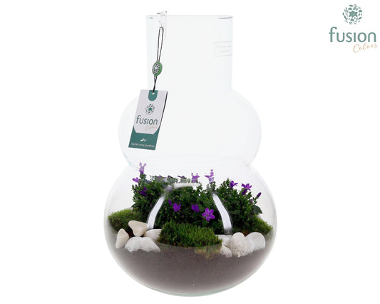 Green Bottle Olaf Large met Campanula 24uur levertijd 43cm 26cm Pot