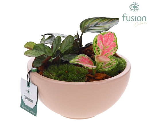 Schaal keramiek Moon Medium blush pink met groene planten 20cm 18cm Pot
