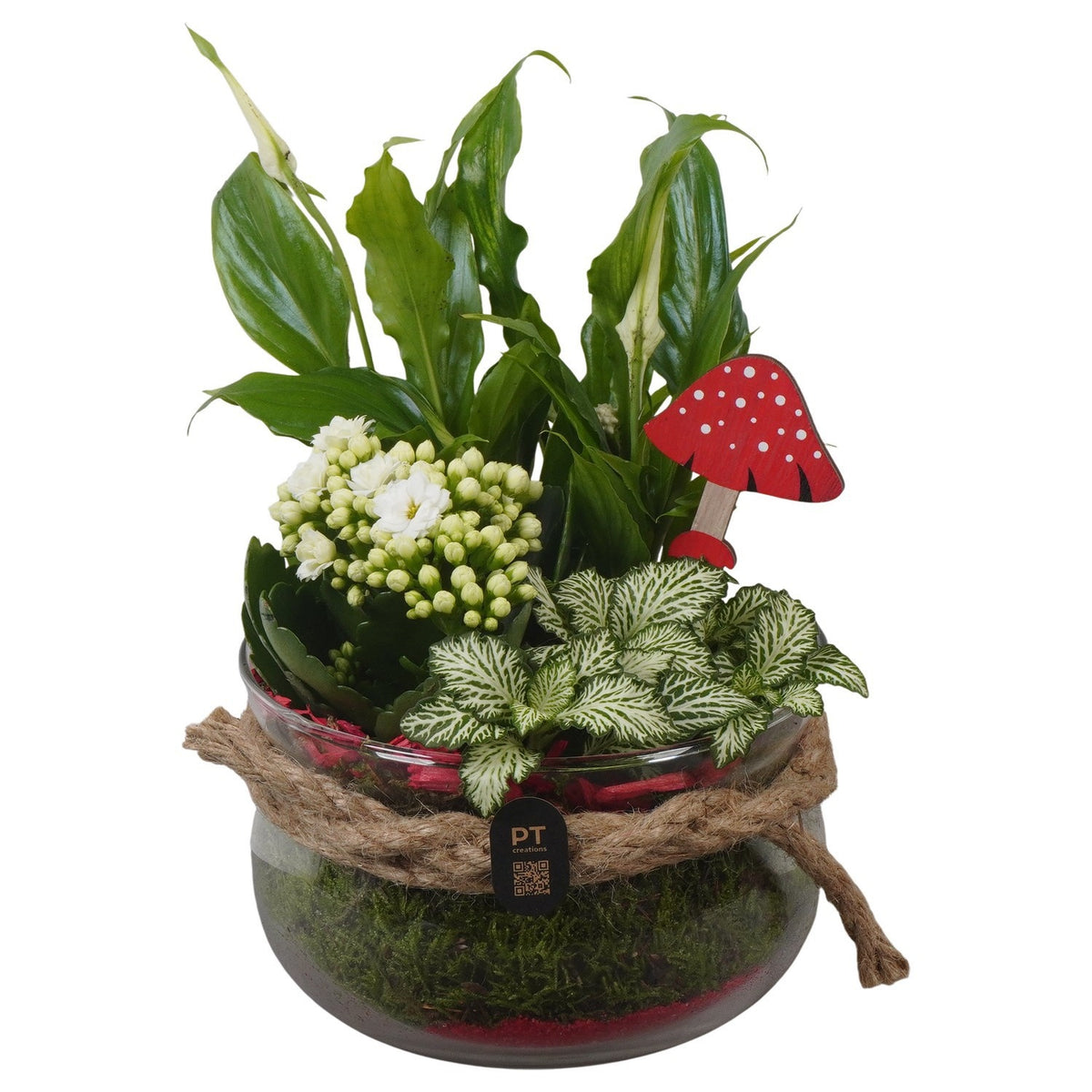 Indoor arrangement 25cm 15cm Pot