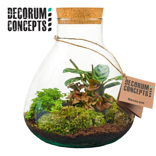 arr. Terrarium Erlenmeyer GCE+L 22cm Pot