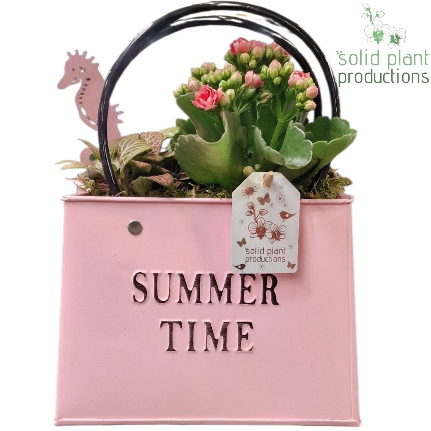 Solid Plant Productions ZKE001 Pink Bag Large Summer Pack of 4