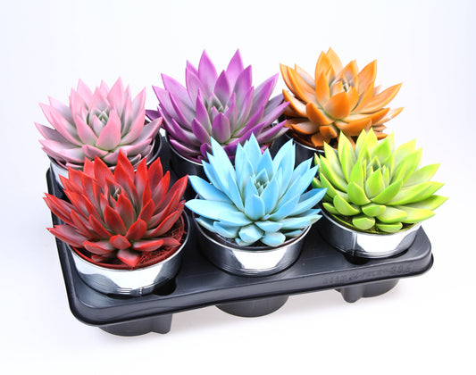 Rainbow zinkpot 18cm 15cm Pot