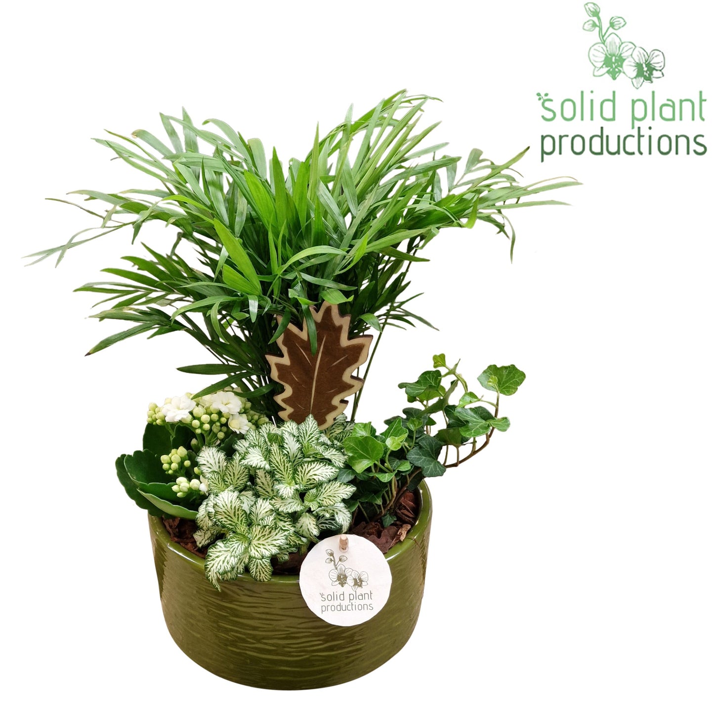 CH003 Loes Green White 38cm 18cm Pot