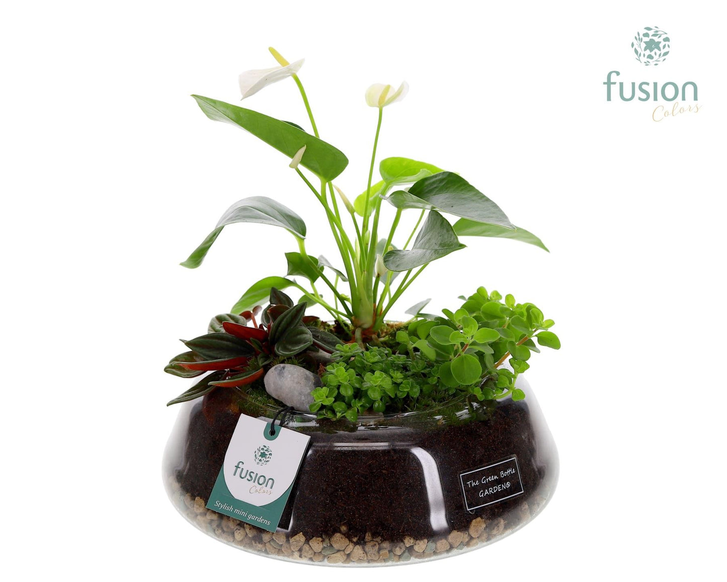 Green Bottle Christel Large met Anthurium Arrangement 29cm 24cm Pot