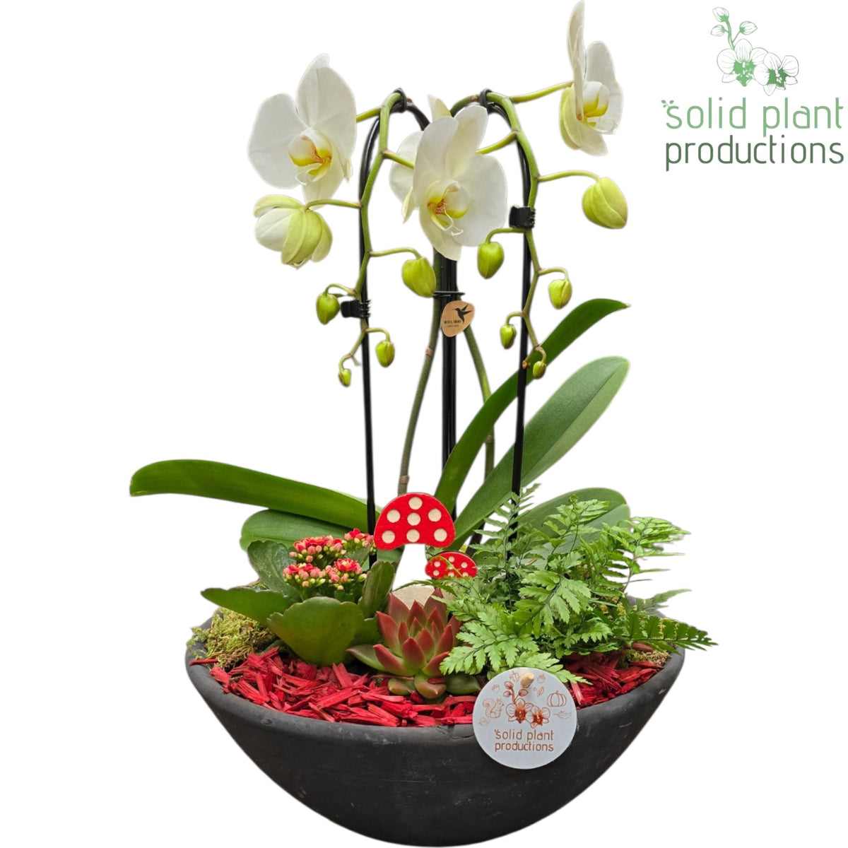 PE012 Ebbi Red Deluxe Autumn 55cm 32cm Pot
