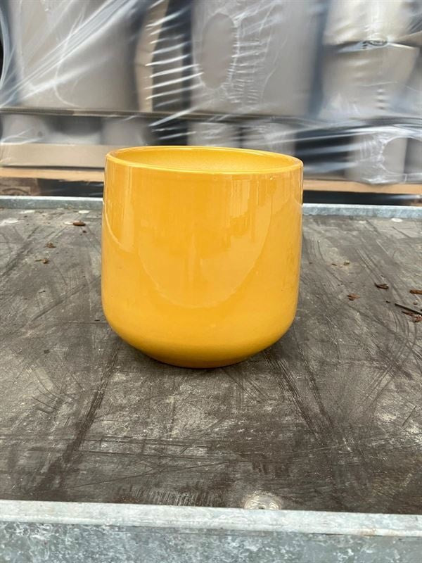 Ceramicpottery 12cm Pot