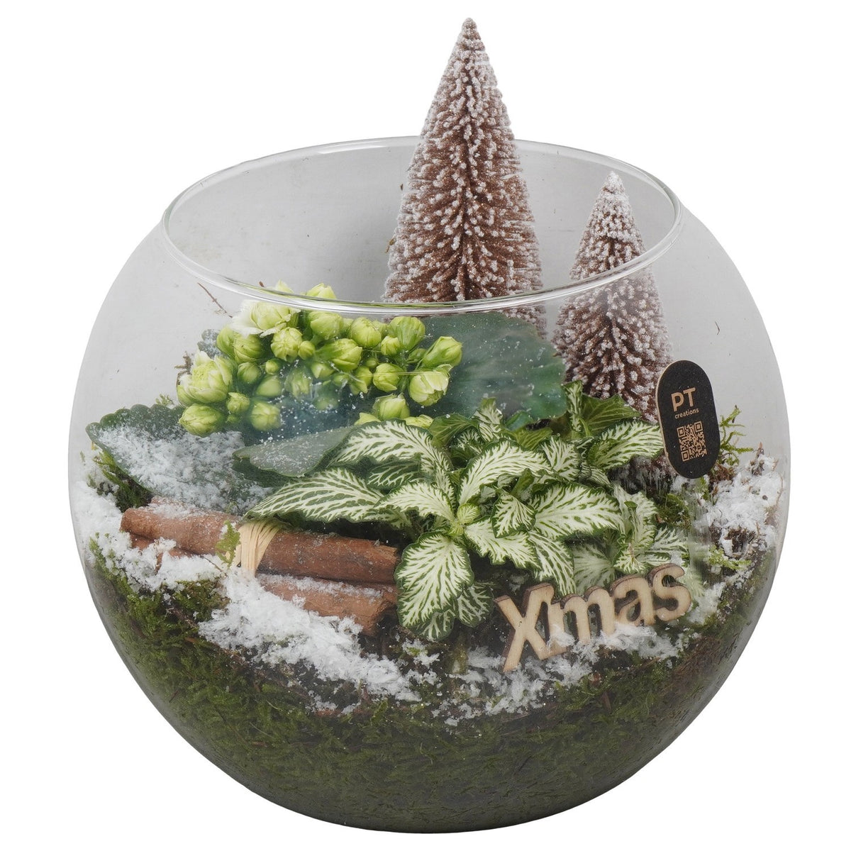 Christmas arrangement 19cm 19cm Pot