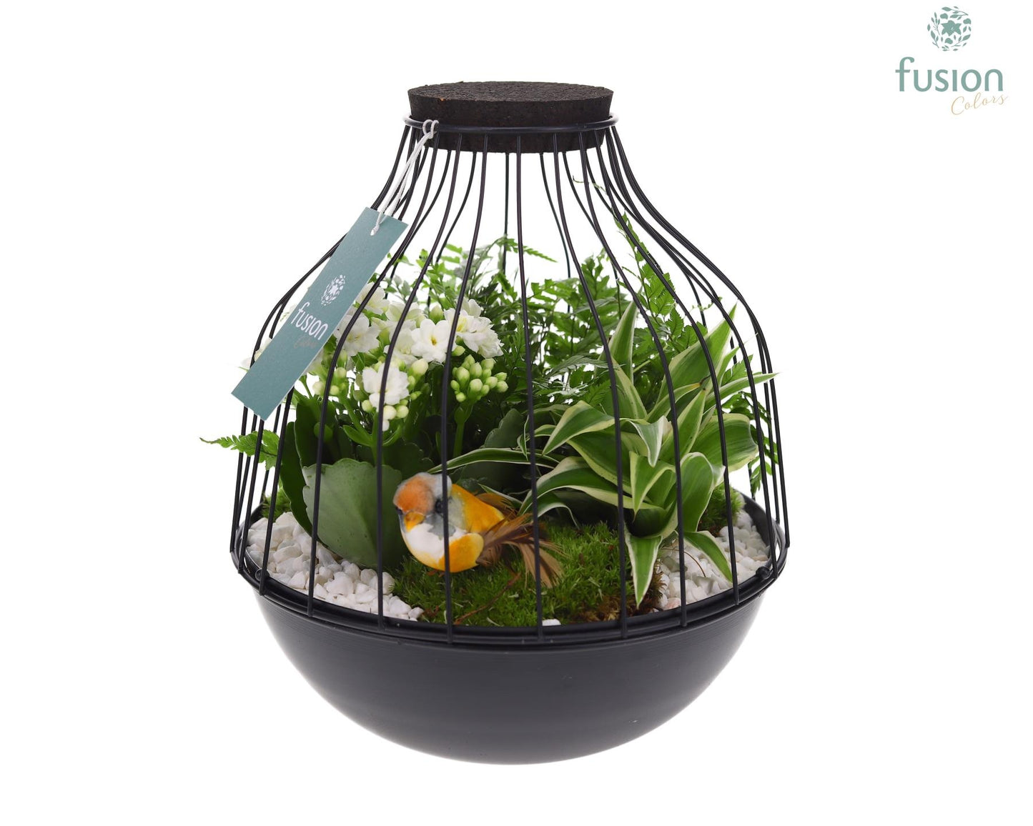 Fusioncolors BV Metaal vogelkooi zwart Large LED met arrangement Pack of 2