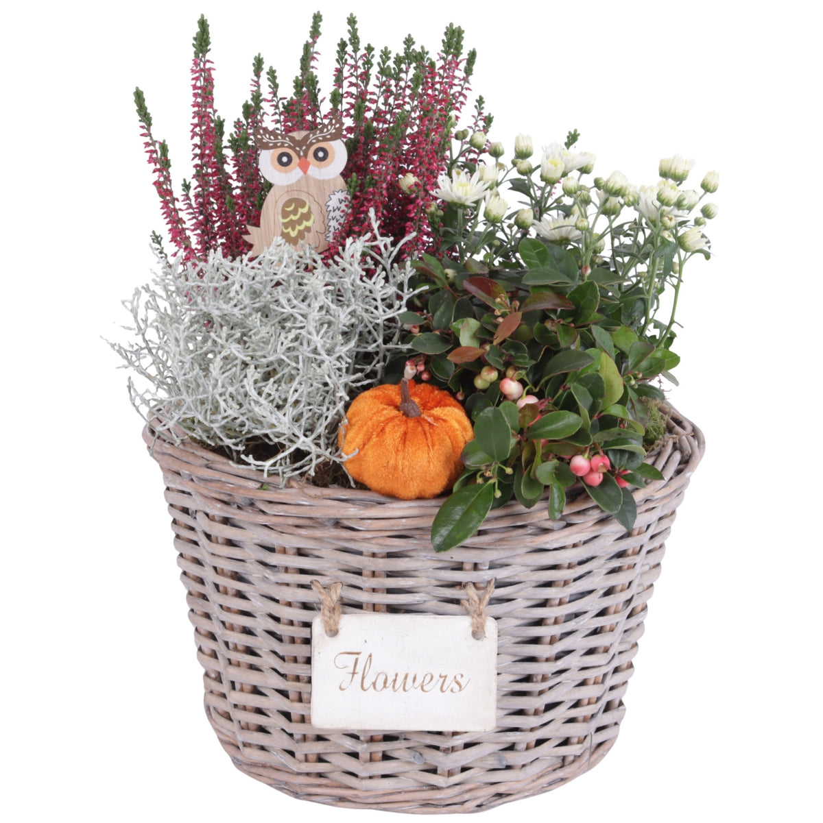 Outdoor arrangement 35cm 27cm Pot