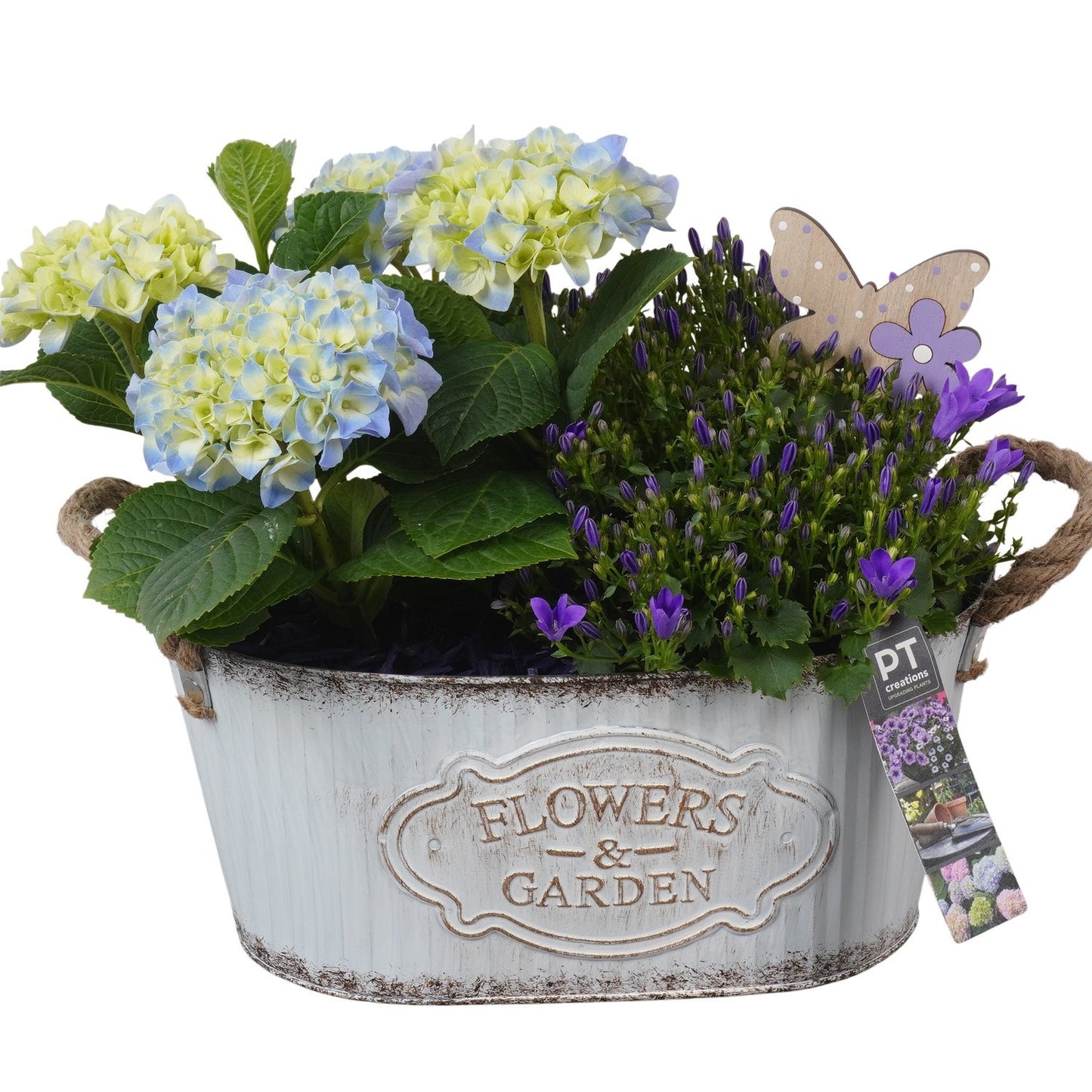 arr. PM196 27cm 28cm Pot