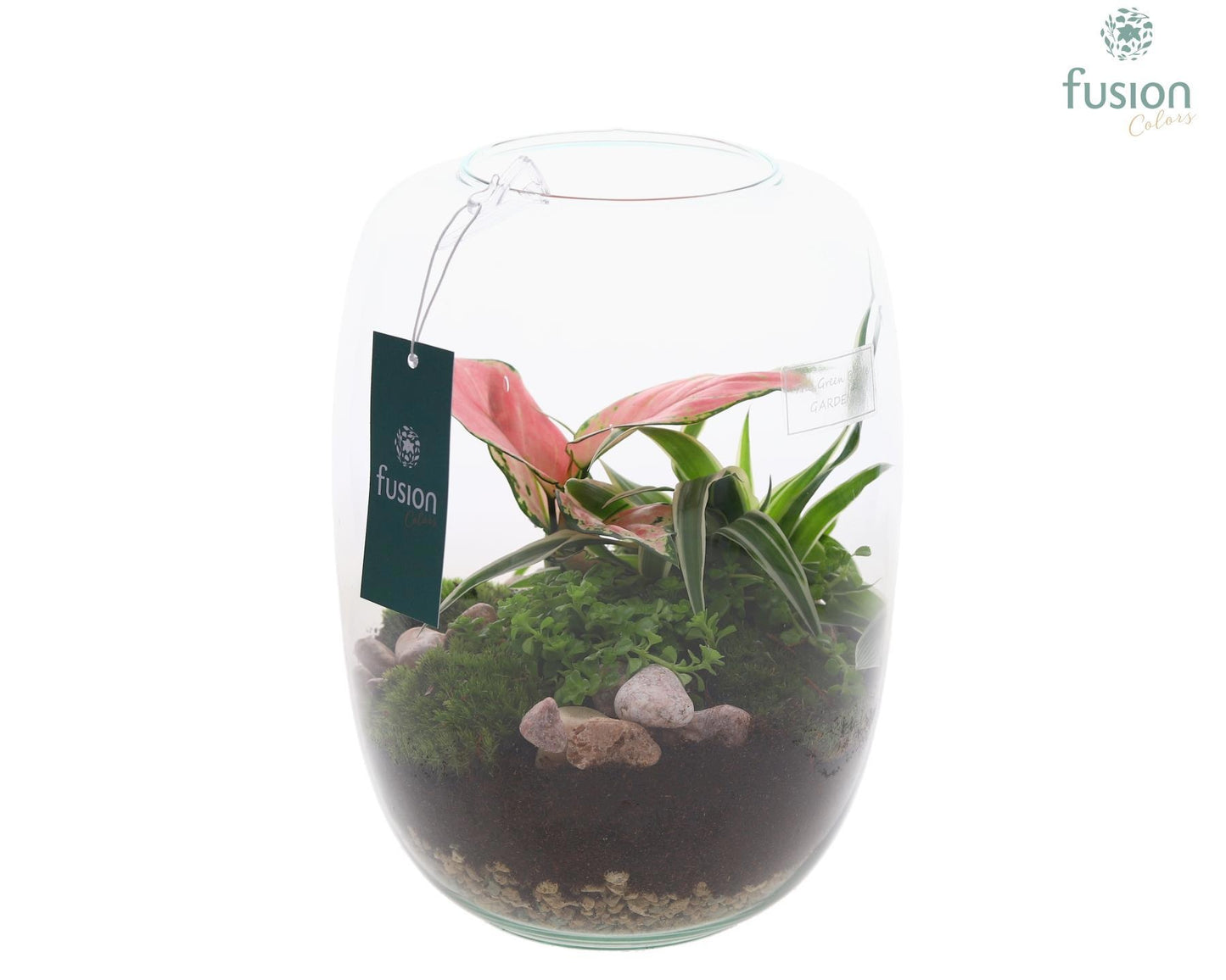 Green Bottle Isabella Medium met Grone planten 25cm 19cm Pot