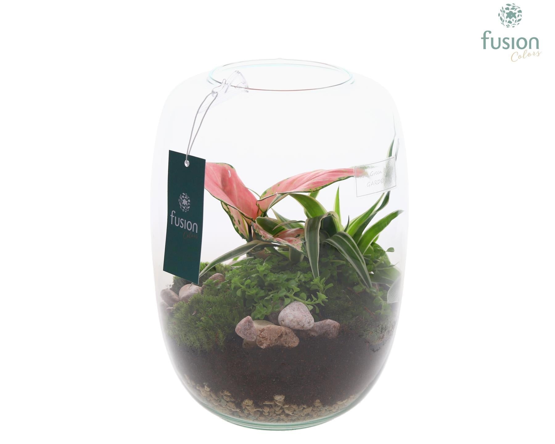 Green Bottle Isabella Medium met Grone planten 25cm 19cm Pot