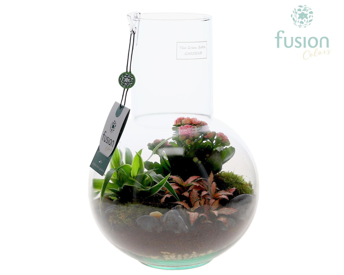 Green Bottle Suzanne Medium met arrangement 29cm 21cm Pot