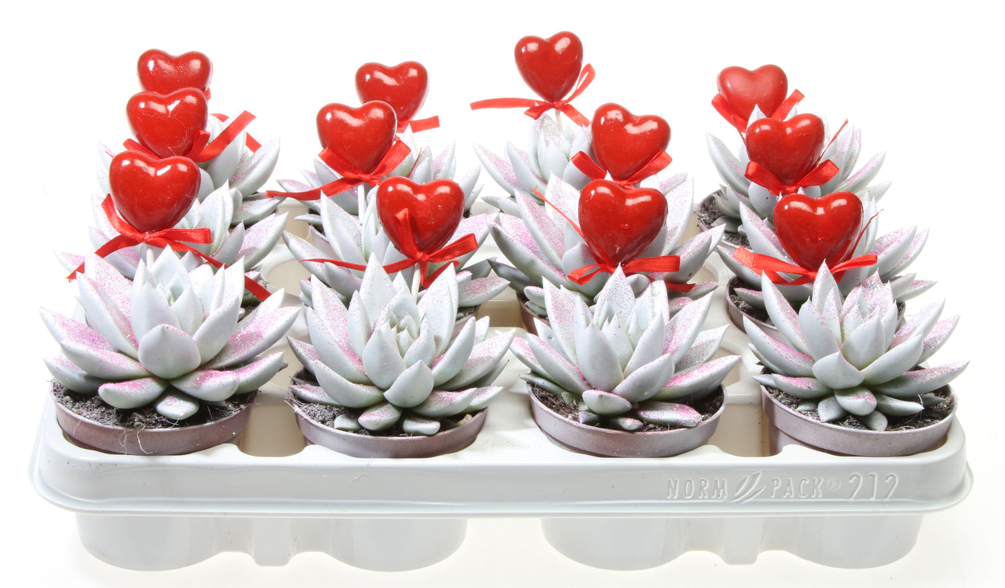 Miranda wit roze glitter + hartje 10cm Special Pot (508)