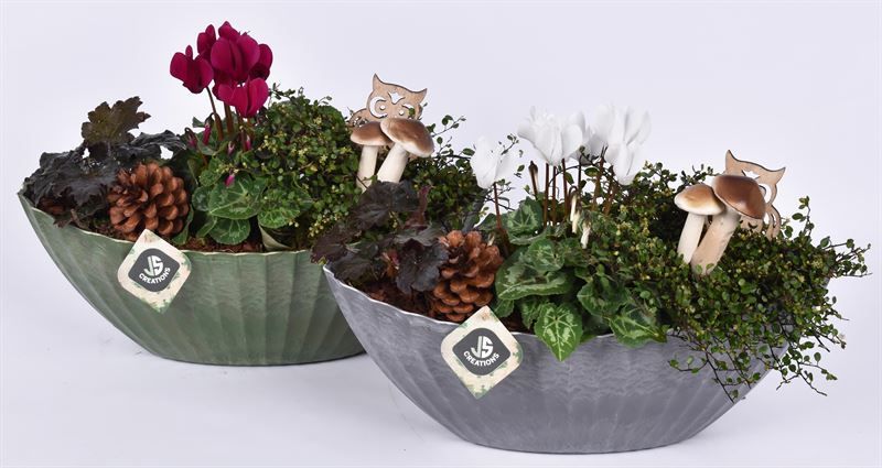 Outdoor arrangement 36cm Pot