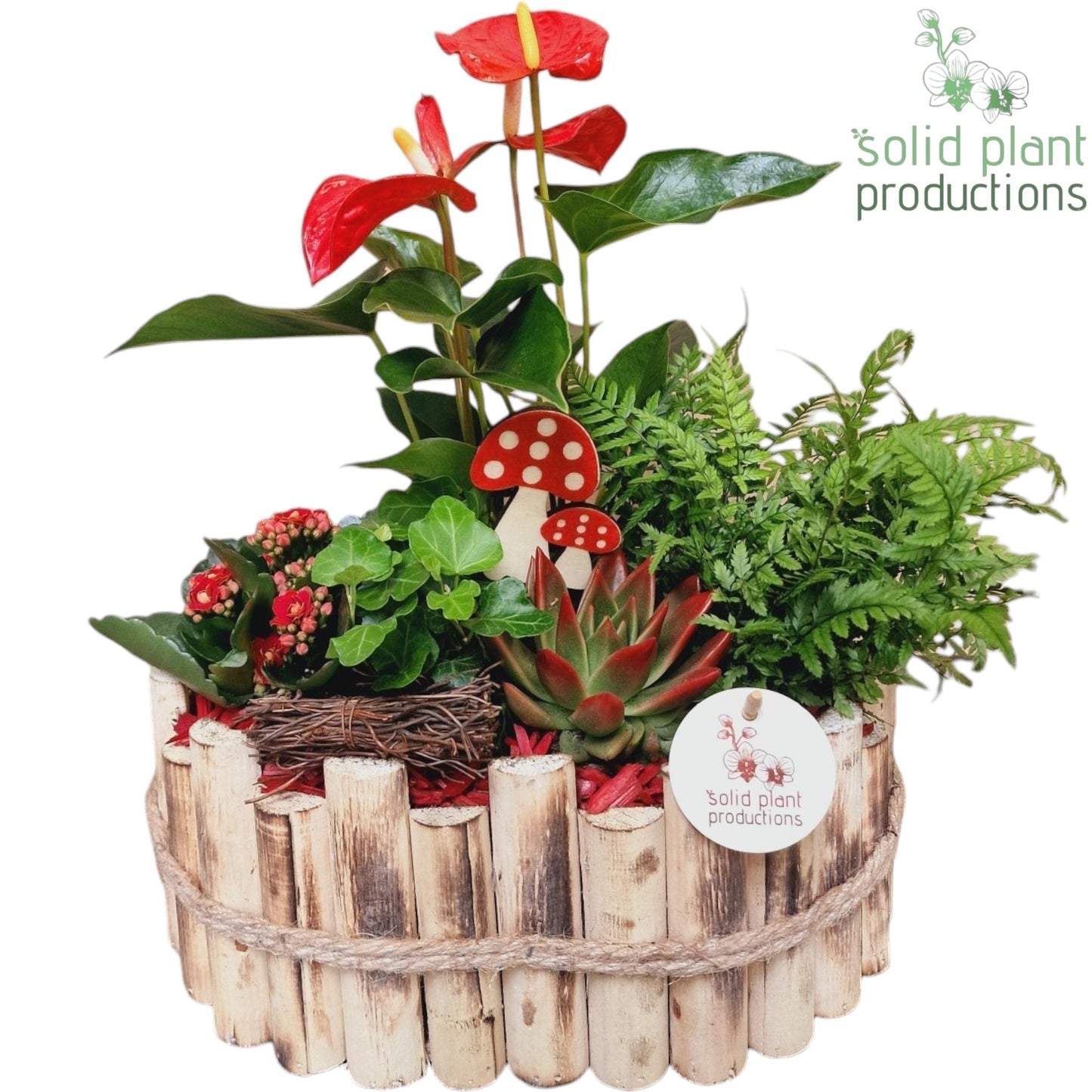 HAE007 Bologna Large Autumn Red 40cm 30cm Pot