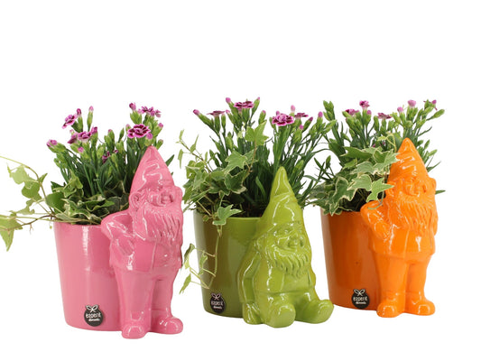 Outdoor arrangement 22cm 13cm Pot