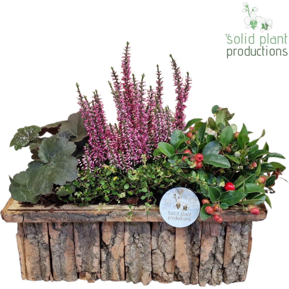Outdoor arrangement 38cm 34cm Pot