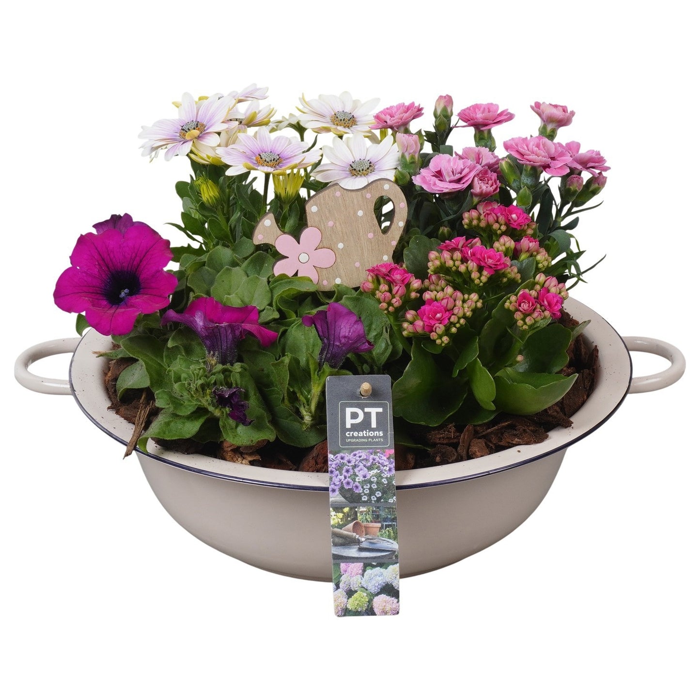 Outdoor arrangement 23cm 30cm Pot