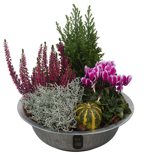 Outdoor arrangement 34cm 29cm Pot