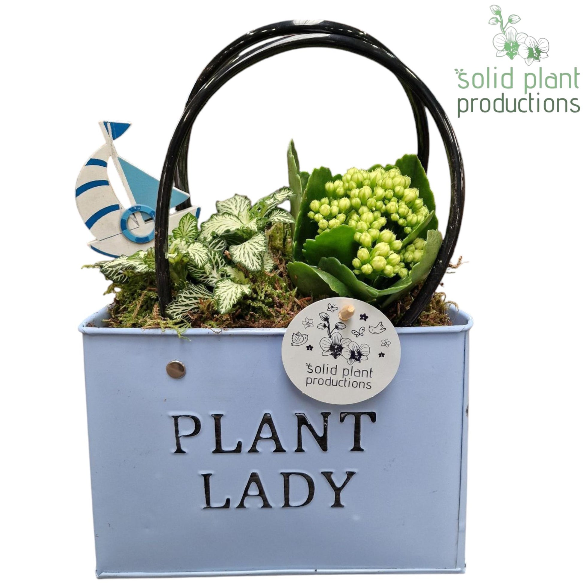 ZKE001 Blue Bag Large 28cm 18cm Pot