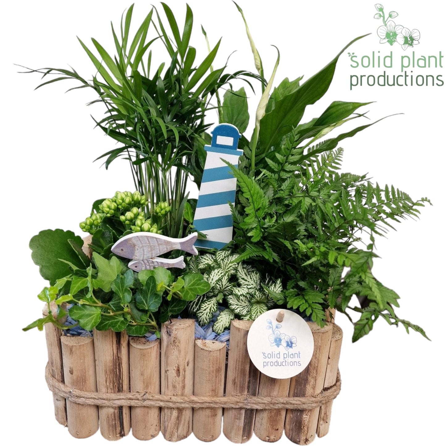 Solid Plant Productions HSC008 Verona Large Maritiem Pack of 2