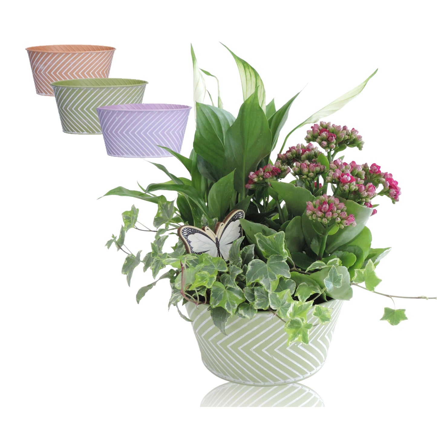 Outdoor arrangement 18cm Pot