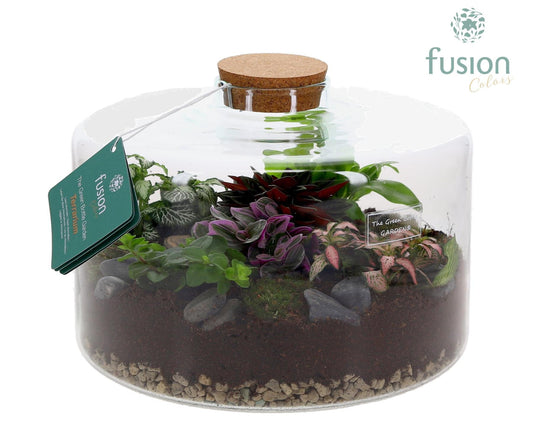 Green Bottle Kyra XLarge met Terrarium arrangement 25cm 27cm Pot