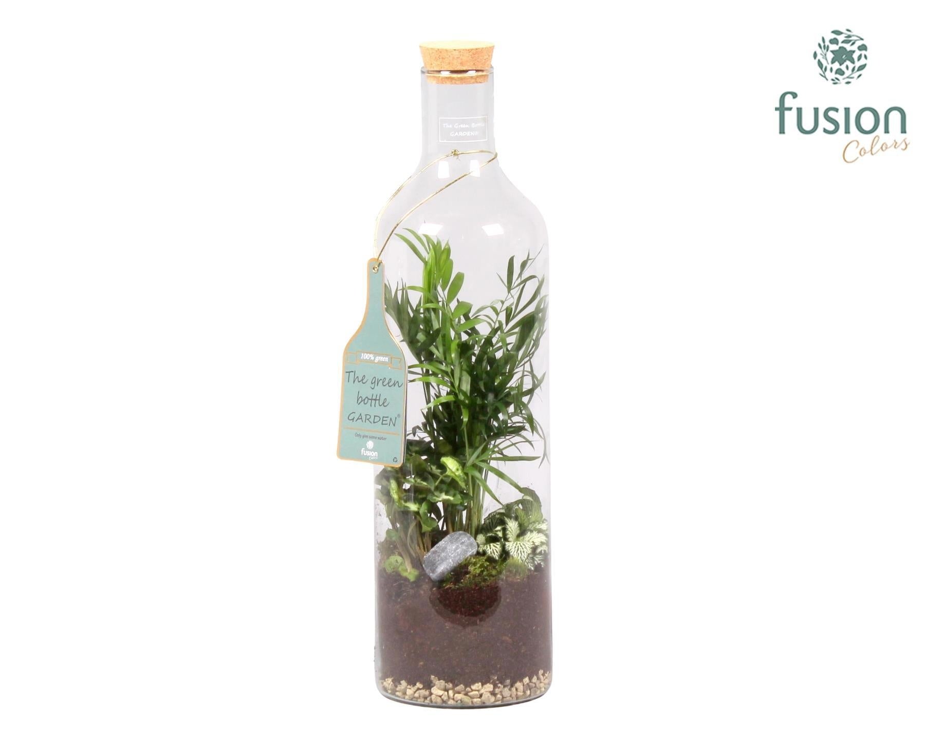 Green Bottle Fles Large met Groen Planten Arrangement 55cm 15cm Pot