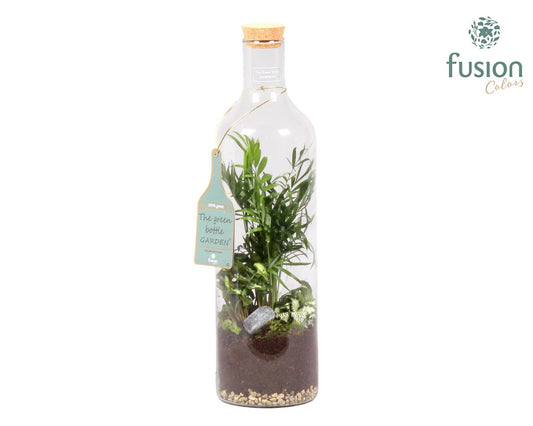 Green Bottle Fles Large met Groen Planten Arrangement 55cm 15cm Pot