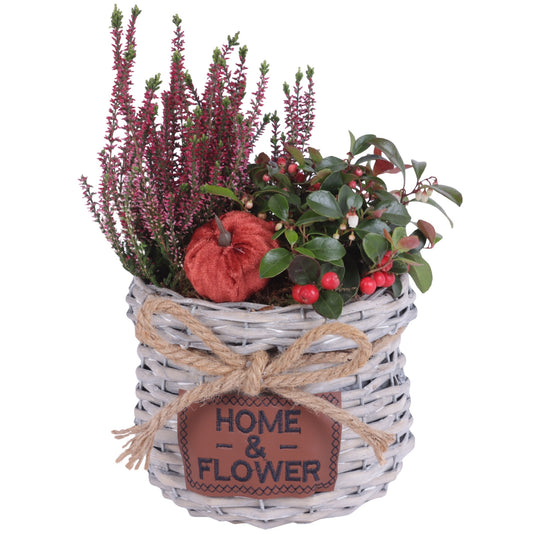 Outdoor arrangement 35cm 19cm Pot