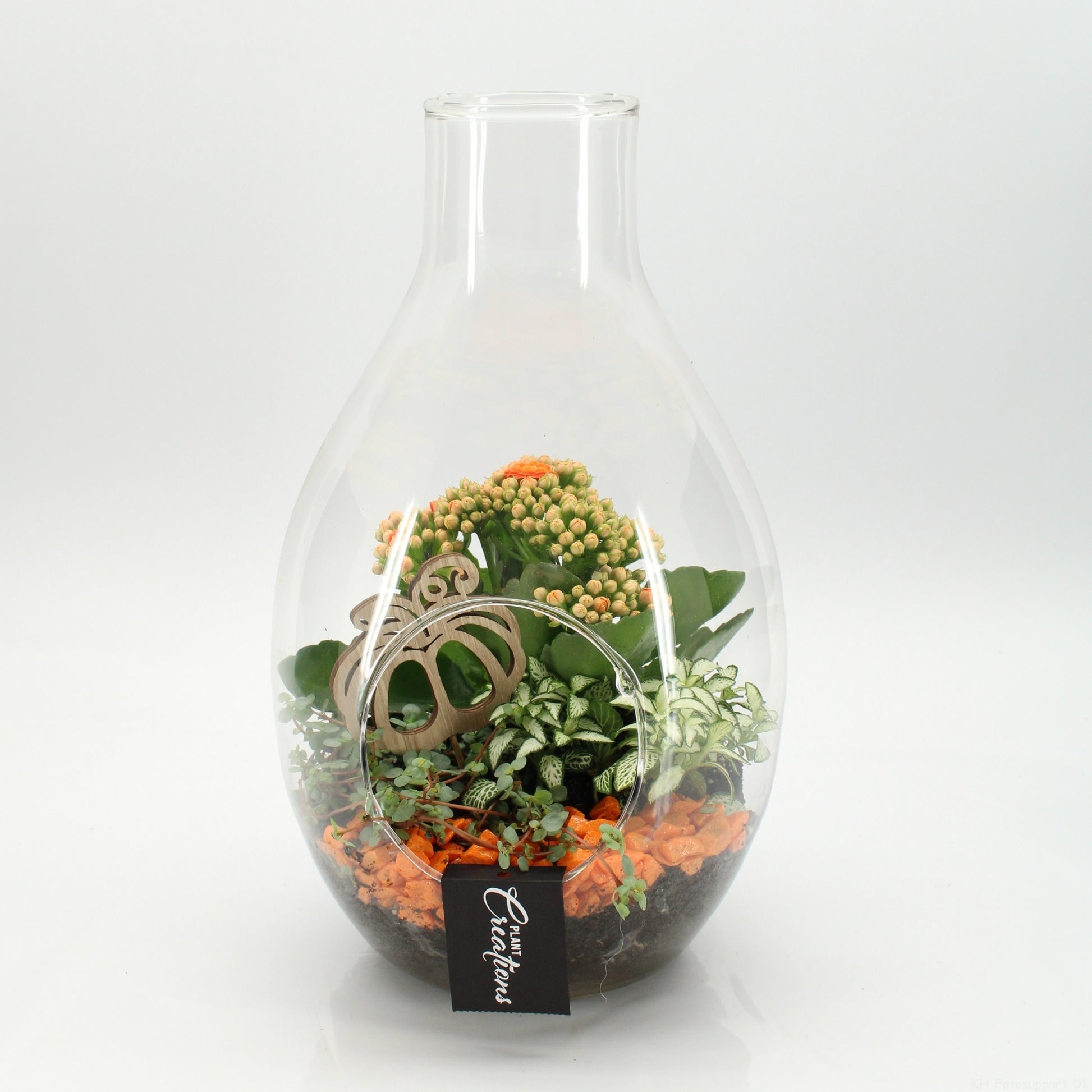 BHCR-2606 Autumn Fundamentals terrarium 30cm 17cm Pot