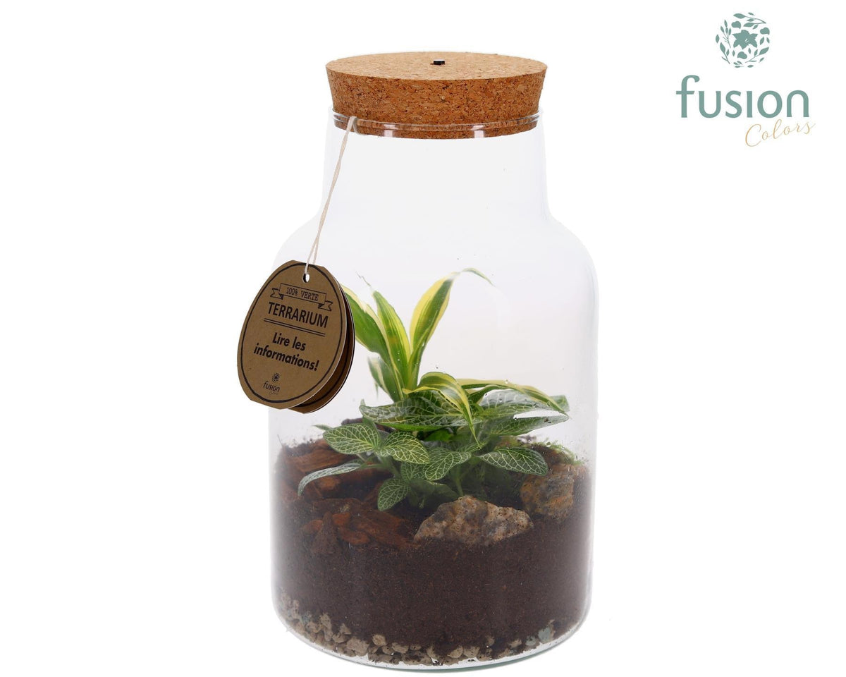 Terrarium met kurk voorzien van LED verlichting 25cm 17cm Pot