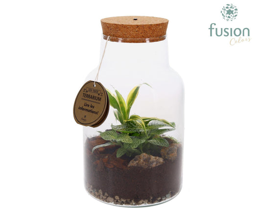 Terrarium met kurk voorzien van LED verlichting 25cm 17cm Pot